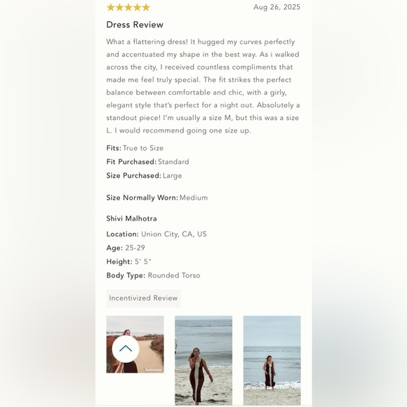 NWT Size L - Palmacea Fara Brown/Ivory Textured Maxi Dress - Picture 15 of 16